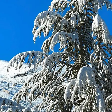 Daire Casa Sierra Nevada