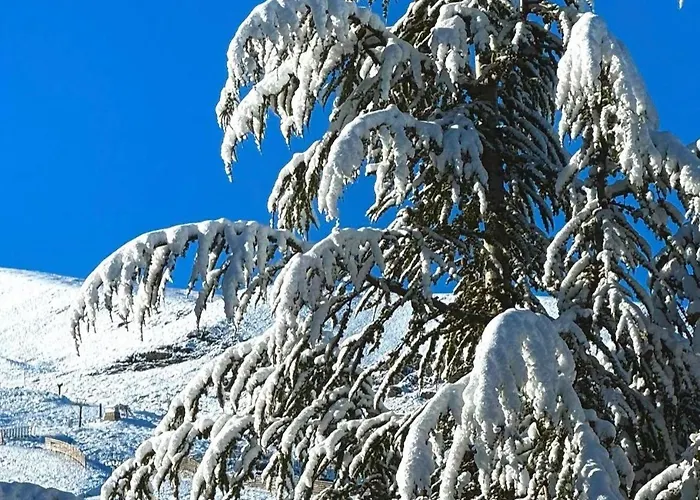 公寓 Casa 塞拉内华达